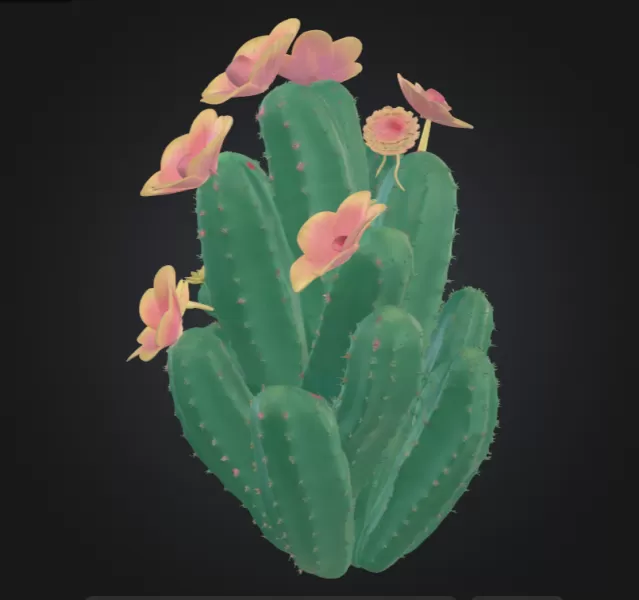 Cactus - Model preview 2