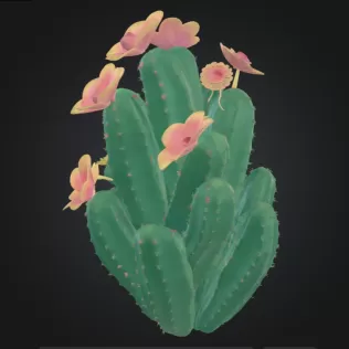 Cactus - Model thumbnail 2