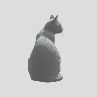 Cat 02 - Model thumbnail 1