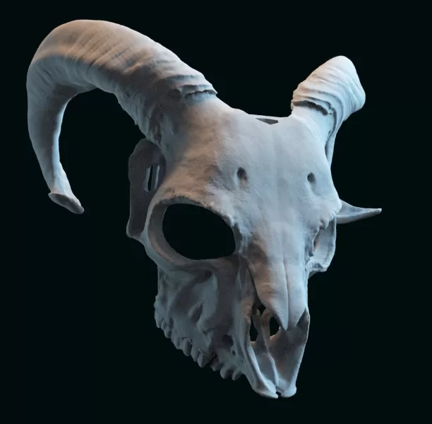 goat skull mask adapted to fit a human face - Model preview 2