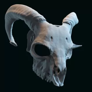 goat skull mask adapted to fit a human face - Model thumbnail 2