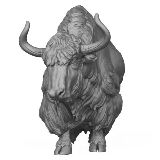 3D Printable Yak Animal - Model thumbnail 2