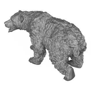 Wild Polar Bear 3D Print Model - Model thumbnail 4