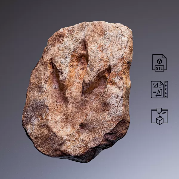 Dinosaur Footprint Fossil #RoZ - Model preview 5