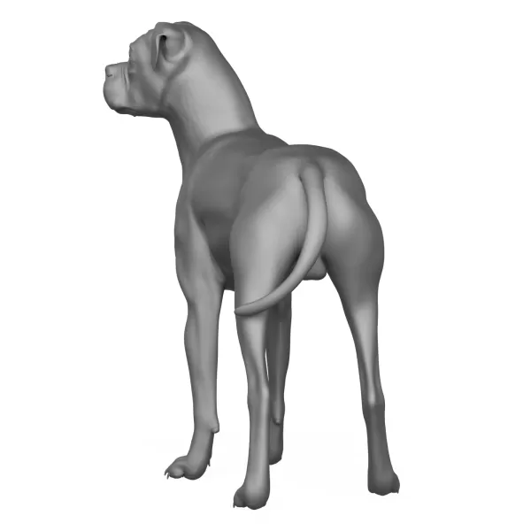 Boxer Dog Alert Pose 3D Print Model - Model preview 4
