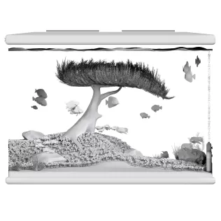 AQUASCAPE - Model thumbnail 1