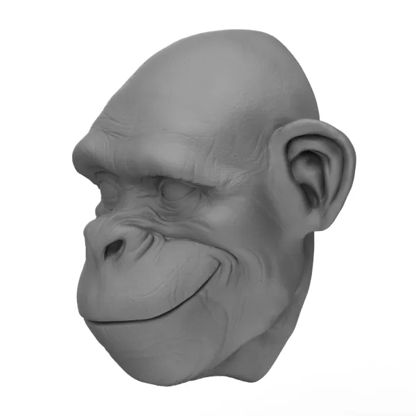 3D Printable Chimpanzee Face - Model preview 2