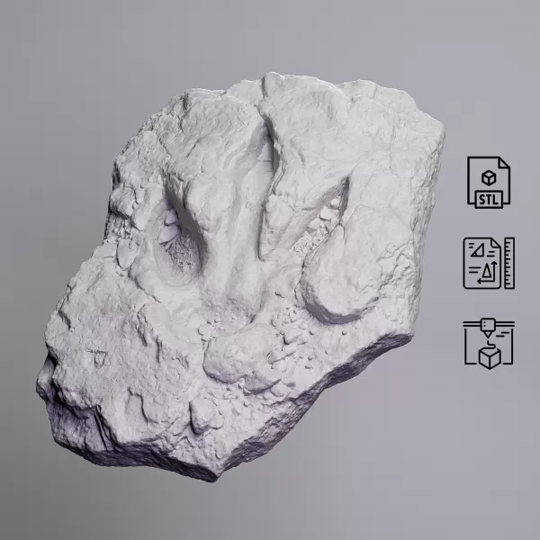Dinosaur Track Fossil Rock #RoZ - Model preview 7