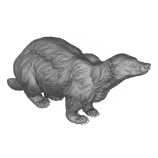 Wild Badger Animal 3D Print Model - Model thumbnail 3