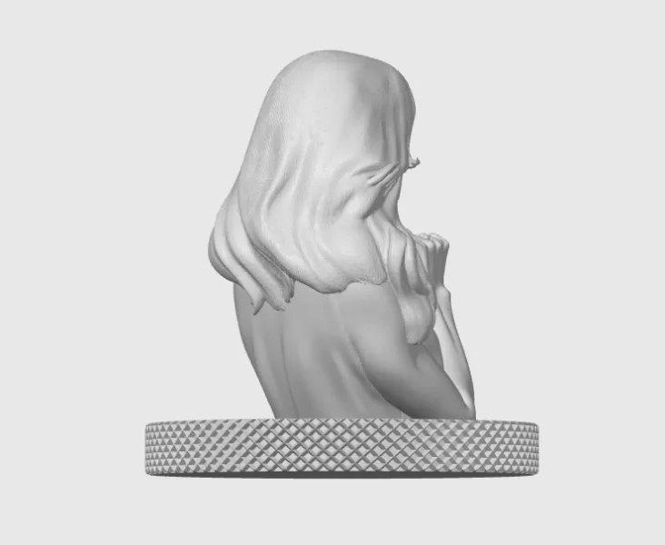 Nicole Kidman 3D Bust Print - Model preview 5