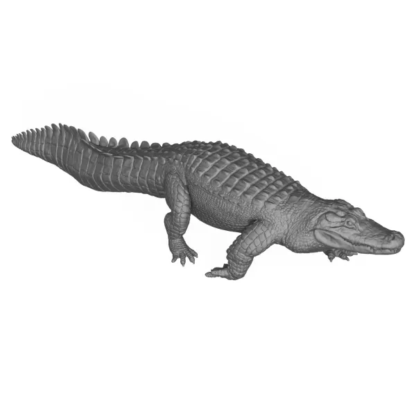 3D Printable Wild Animal Alligator - Model preview 6