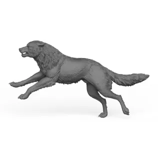 Wild Wolf - Model thumbnail 3