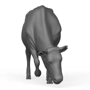 Cow - Model thumbnail 2