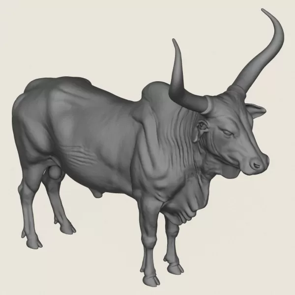 Indian Bull Print Ready 3D Model - Model preview 4
