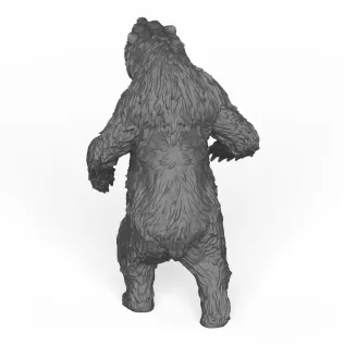Wild Bear - Model thumbnail 4