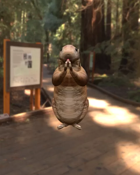 Hamster - Model preview 2