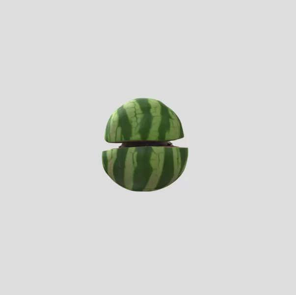 Raccooni Watermelunni - Model preview 3