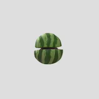 Raccooni Watermelunni