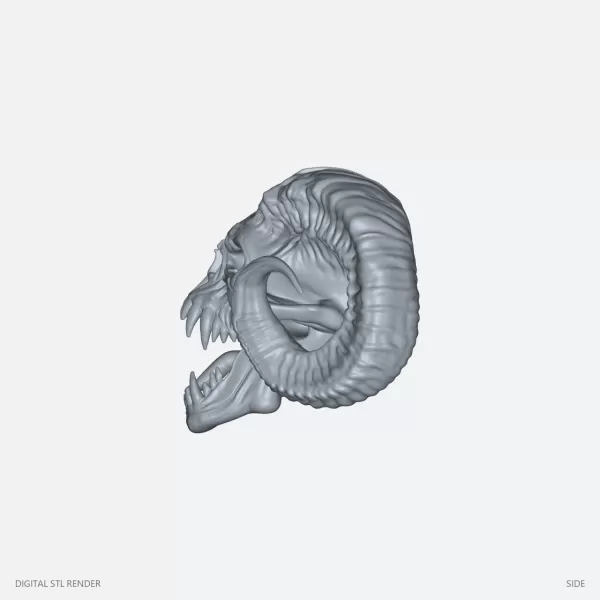Horned Ram Skull Dark Fantasy - STL - Model preview 3