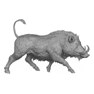 Wild Boar 3D Print Model - Model thumbnail 6
