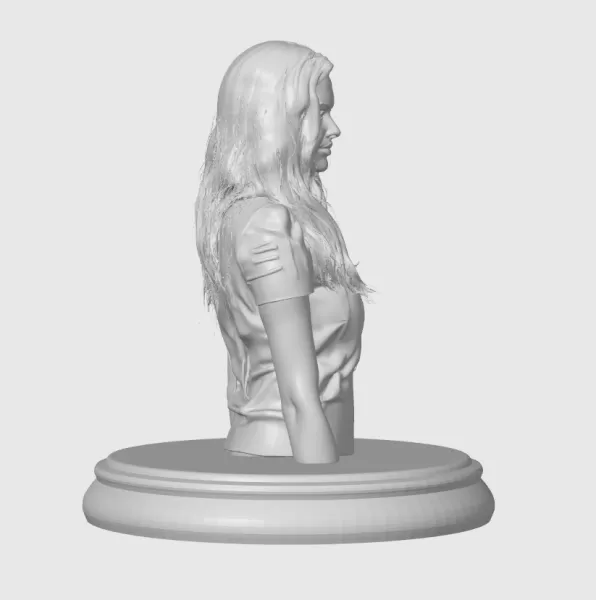 Amanda Seyfried 3D Bust Print - Model preview 4