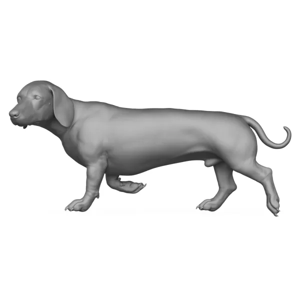 Dachshund Dog 3D Print Model - Model preview 1