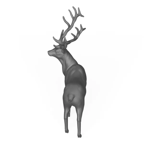Stag Deer Animal - Model preview 4