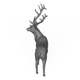 Stag Deer Animal - Model thumbnail 4