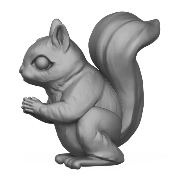 Squirrel - Model preview 2