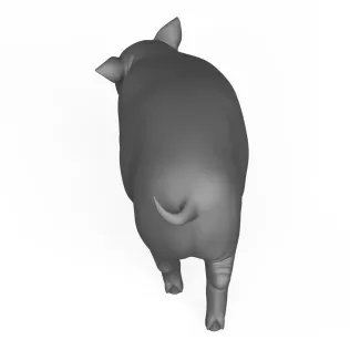 3D Printable Pig Standing Pose - Model thumbnail 4