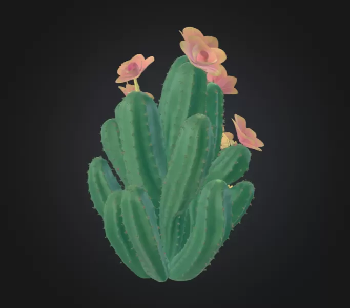 Cactus - Model preview 3