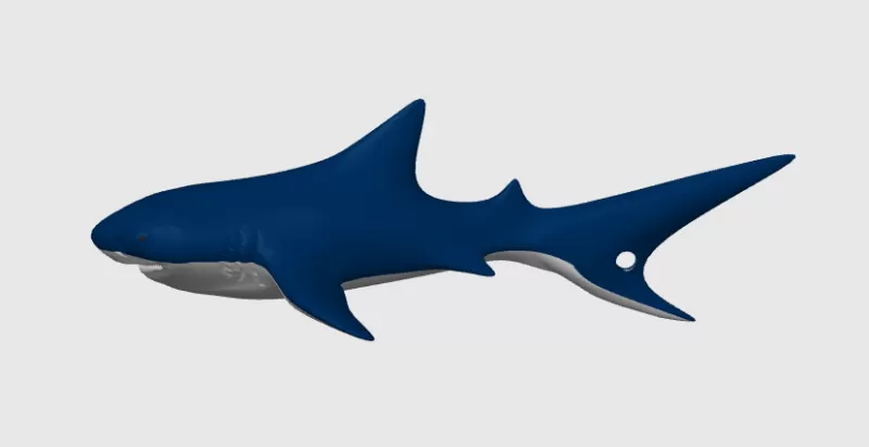 Tiger Shark, Keychain - Model preview 4