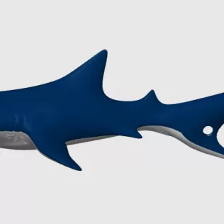 Tiger Shark, Keychain