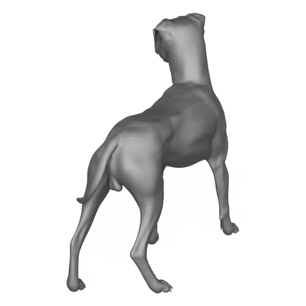 Boxer Dog Alert Pose 3D Print Model - Model preview 6