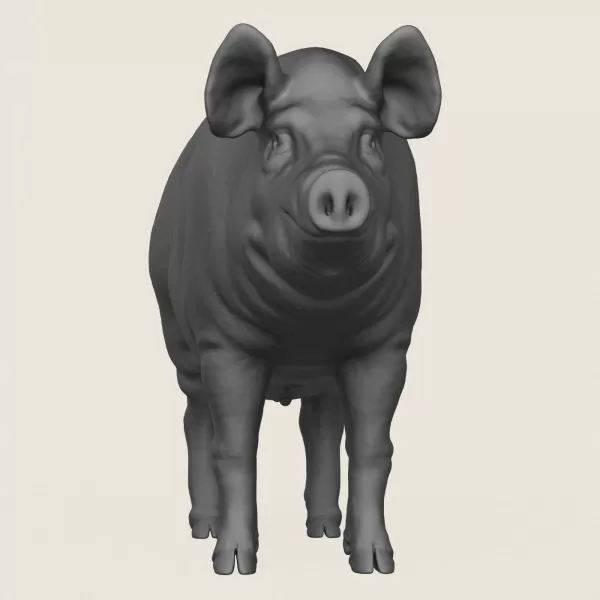 Pig Print Ready 3D Model - Model preview 2