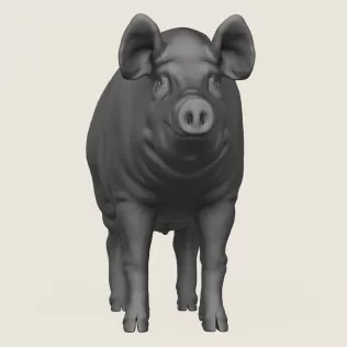 Pig Print Ready 3D Model - Model thumbnail 2